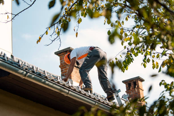 Best Commercial Roof Installation  in St Anthony, ID